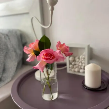 в комплекс свети никола плаж градина Apartment Tschernomorez